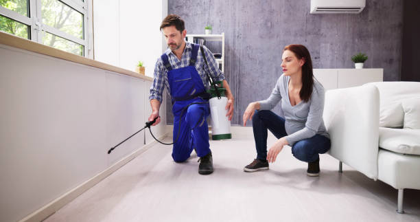 Best Residential Pest Control  in Pocahontas, AR